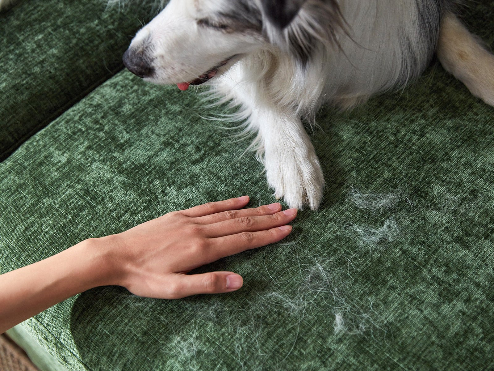 OLAR I 3 Seats with Ottoman