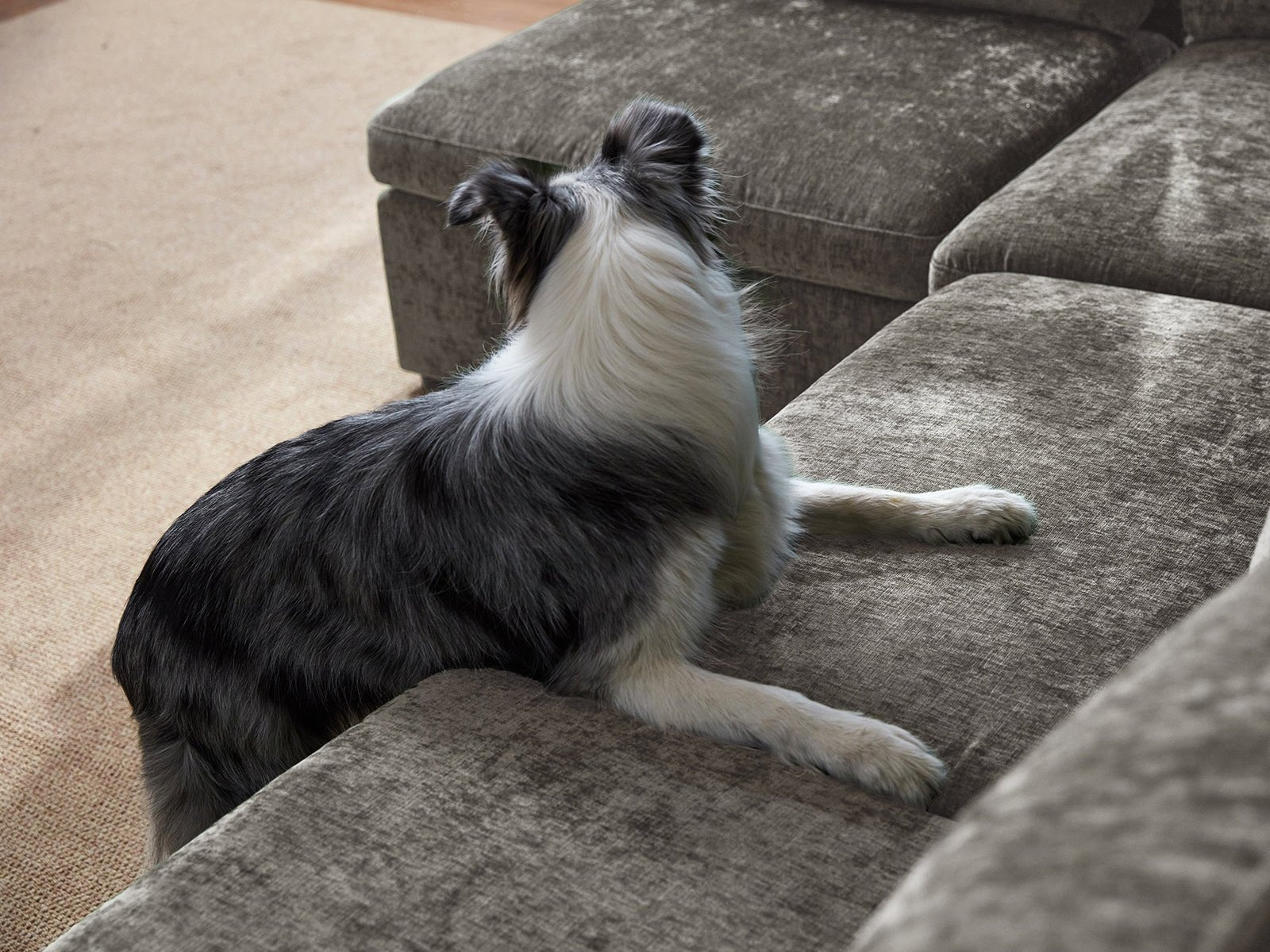 OLAR I 3 Seats with Ottoman