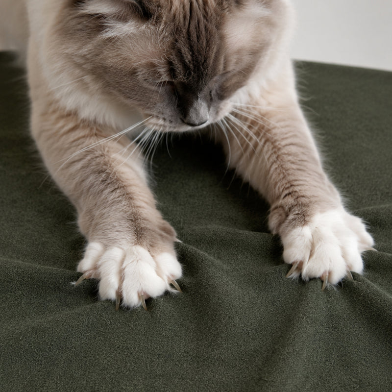 Scratch Resistant